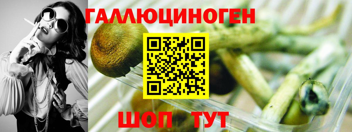 Псилоцибиновые грибы Magic Shrooms  Псилоцибиновые грибы ЛСД  Чехов  Вход с VPN 