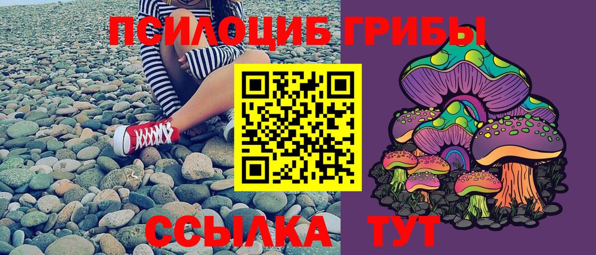 Галлюциногенные грибы мицелий Чехов